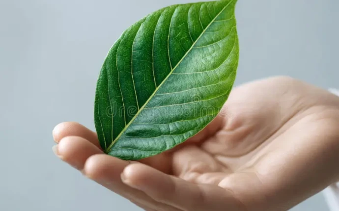 Βιωσιμότητα & EcoEvents