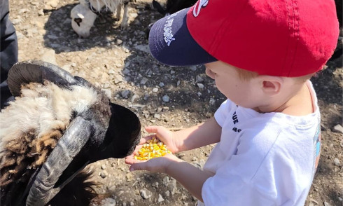 Family Activities to do in Rethymno