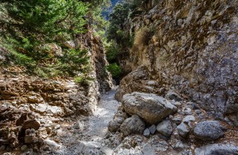 Randonnée privée dans les gorges d'Imbros  &  exploration de Sfakia avec déjeuner