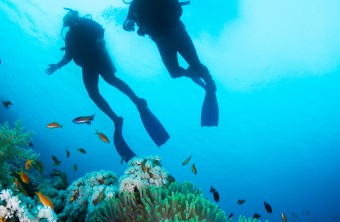 Découvrez la plongée sous-marine à Rethymnon