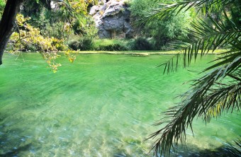 Randonnée à travers la palmeraie de Preveli au départ de Rethymnon