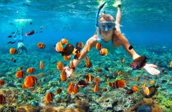 Découvrez Snorkeling à Rethymnon