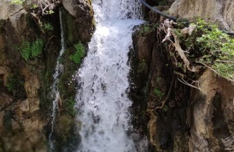 Canyoning in the water and beach: Kourtaliotiko Gorge-Preveli palm beach
