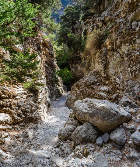 Private hike Imbros gorge & explore Sfakia with lunch