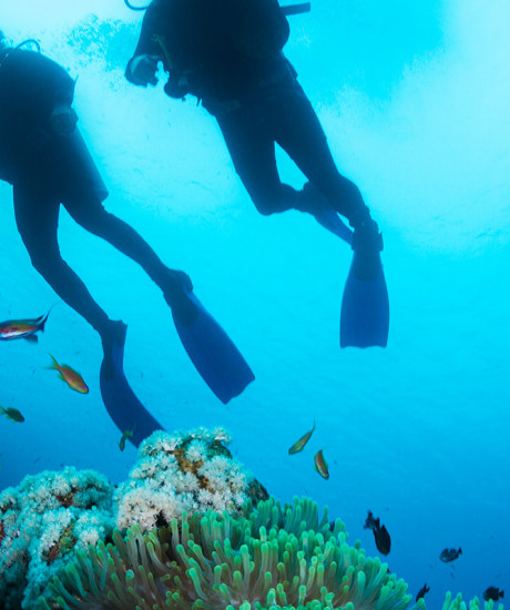 Discover Scuba Diving in Rethymno