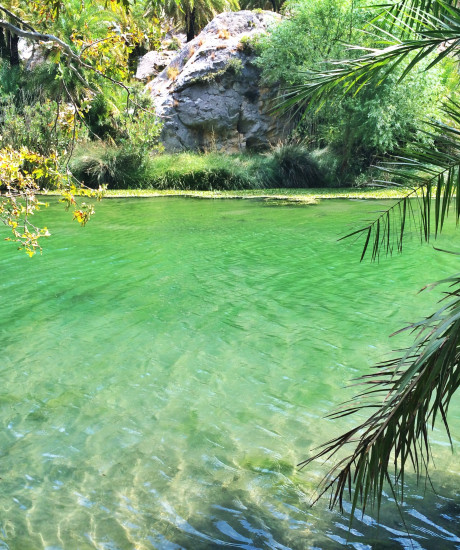 Randonnée privé à travers la palmeraie de Preveli au départ de Rethymnon