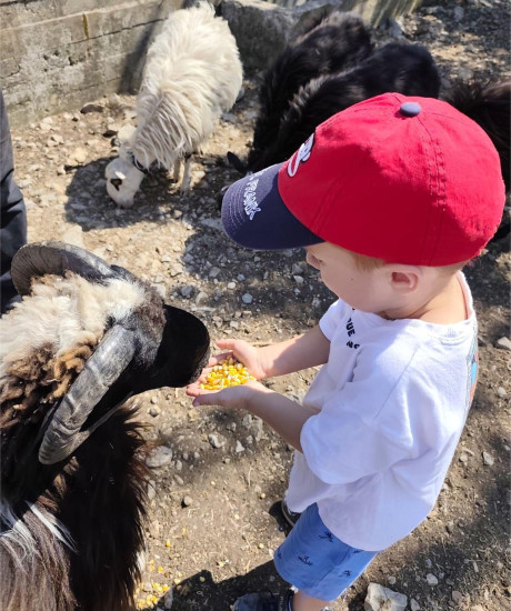 A journey into farm; between tradition and nature